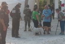 Acorralan en San Crisanto a extranjeros que llegaron de EE.UU.