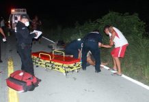 Esposos se estrellan contra vaca en carretera y acaban en el hospital