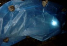 Octogenario muere de un infarto en su parcela en Tizimín