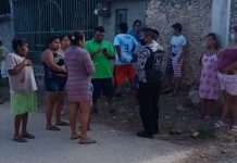 Ya son 4 denuncias contra exterminador de animales en Tekax