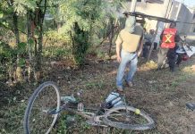 Ya ni descansar pueden los ciclistas; fue arrollado a la orilla de la carretera