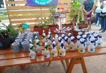 Emprendedores de Acanceh y los alrededores muestran su arte en una expo