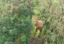 Hombre desnudo asusta y acosa a mujeres en la carretera Buctzotz