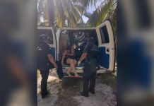 Mantarraya manda al hospital a mujer