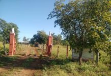 Encuentra muerto a trabajador en rancho
