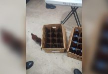 Cae otro clandestino en Tizimín