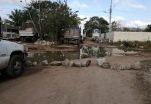 Constante paso de camiones deja en mal estado calles de Motul