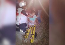 Se estampan contra una res