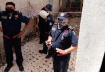 Enjambres de abejas ponen a trabajar a los bomberos