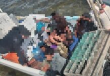 Rescatan a 6 cubanos en aguas de San Felipe