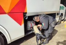 Operativo canino en busca de drogas en terminar de camiones