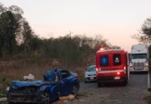 Mujer muere prensada al caer un arbol sobre su auto