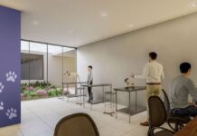 Yucatán contará con su primer Hospital Veterinario Público