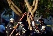 Parranda termina en tragedia; hombre fallece ahogado
