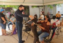Campaña de esterilización de mascotas en Valladolid