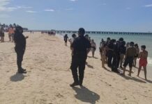 Bañistas de Progreso fueron atacados por mantarrayas