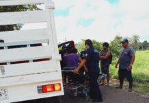 Pareja choca contra una res