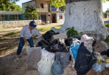 Acciones de prevención contra el mosco