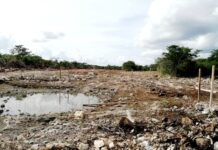 Ecocidio y despojo de tierras en Kinchil