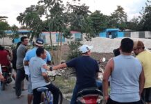 Pleito por tala de árboles en un terreno «de nadie»