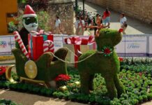 Llega el Paseo de las Flores a Valladolid
