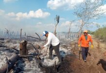 Incendio consume montes de Teya
