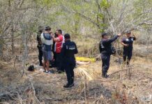 Turistas terminan sus vacaciones en el hospital tras volcarse su auto