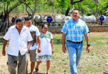 Barrera Concha impulsa el campo meridano con el programa Proyectos Productivos