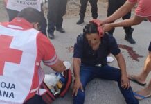 Canes callejeros ocasionan accidentes en las calles de Kinchil