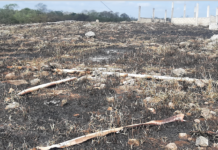 Incendio causa grandes perdidas a un productor de Kimbilá