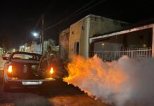 Continúa la lucha contra el dengue, refuerzan fumigación