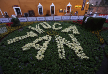Más de 408 mil yucatecos disfrutaron del Paseo Navideño de las Flores
