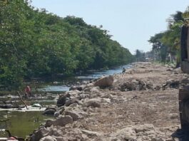 Denuncia de ecocidio en Progreso por afectación a manglar protegido.
