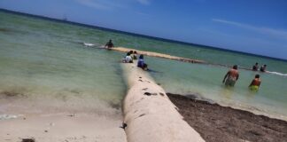 Erosión en las playas de Progreso reduce la franja de arena del Malecón.