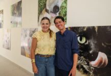 Realizan 80 esterilizaciones en jornada de bienestar animal en Mérida El Ayuntamiento de Mérida realizó una jornada de esterilización en la Clínica Veterinaria Municipal, donde fueron atendidos 80 perros y gatos.