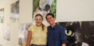 El Ayuntamiento de Mérida realizó una jornada de esterilización en la Clínica Veterinaria Municipal, donde fueron atendidos 80 perros y gatos.
