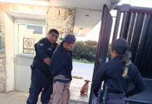 Detienen a presunto ladrón tras intento de robo en empresa de Umán Detienen a presunto ladrón en empresa de Umán.
