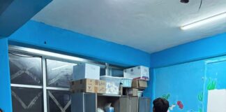 ortuga marina recibe atención veterinaria tras ser atacada por perros ferales en Sisal.