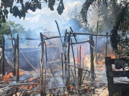 Bomberos combaten incendio que consumió una palapa de madera y techo de guano en Tizimín.
