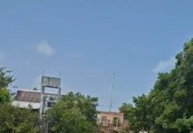 Habitantes de la zona sur de Celestún denunciaron un presunto foco de contaminación cerca del área conocida como La Caleta, donde la acumulación de basura y el hallazgo de pequeños peces muertos han generado preocupación entre la población. De acuerdo con los vecinos, los desperdicios acumulados al aire libre provocan olores fétidos que afectan diariamente a quienes viven en los alrededores, además de representar un posible riesgo para la salud y el entorno natural de la zona. Vecinos exigen atención a la contaminación Los habitantes señalaron que han realizado reportes y expresado sus inconformidades por las condiciones del sitio, sin que hasta el momento, según su denuncia, se haya resuelto el problema. También reportaron el hallazgo de pequeños peces muertos en la zona costera, situación que incrementó la preocupación por un posible impacto ambiental. Los colonos solicitaron la intervención de las autoridades ambientales estatales para realizar una revisión en el área, determinar las condiciones del sitio, establecer posibles responsabilidades y atender la acumulación de residuos. La situación ha generado preocupación entre habitantes de la zona sur del puerto, quienes piden acciones para evitar que el problema continúe afectando la salud pública y el ecosistema de Celestún.