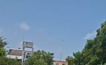 Habitantes de la zona sur de Celestún denunciaron un presunto foco de contaminación cerca del área conocida como La Caleta, donde la acumulación de basura y el hallazgo de pequeños peces muertos han generado preocupación entre la población. De acuerdo con los vecinos, los desperdicios acumulados al aire libre provocan olores fétidos que afectan diariamente a quienes viven en los alrededores, además de representar un posible riesgo para la salud y el entorno natural de la zona. Vecinos exigen atención a la contaminación Los habitantes señalaron que han realizado reportes y expresado sus inconformidades por las condiciones del sitio, sin que hasta el momento, según su denuncia, se haya resuelto el problema. También reportaron el hallazgo de pequeños peces muertos en la zona costera, situación que incrementó la preocupación por un posible impacto ambiental. Los colonos solicitaron la intervención de las autoridades ambientales estatales para realizar una revisión en el área, determinar las condiciones del sitio, establecer posibles responsabilidades y atender la acumulación de residuos. La situación ha generado preocupación entre habitantes de la zona sur del puerto, quienes piden acciones para evitar que el problema continúe afectando la salud pública y el ecosistema de Celestún.