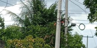 Poste de la CFE derribado tras un accidente vial en la comisaría de Bolón, Umán.
