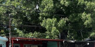 Operativo de seguridad tras el reporte de disparos en la colonia Bojórquez de Mérida.